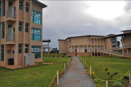 Copperbelt University