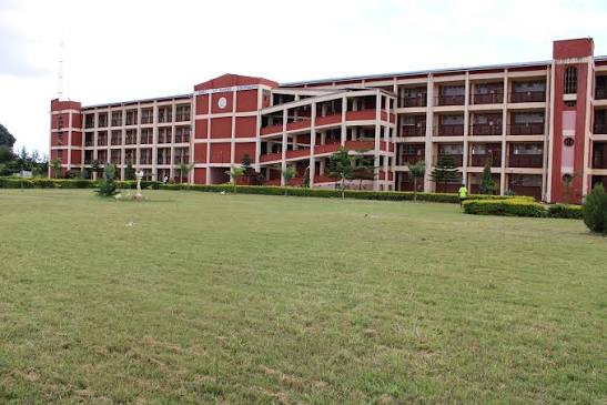 DMI-St. Eugene University